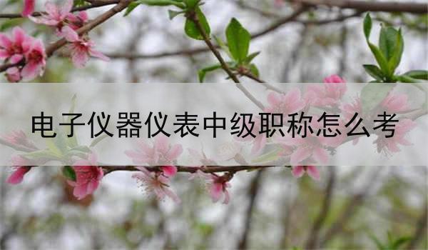 电子仪器仪表中级职称怎么考