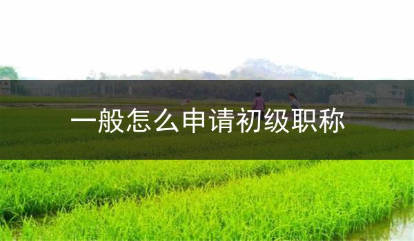 一般怎么申请初级职称