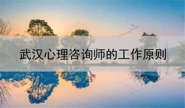 武汉心理咨询师的工作原则