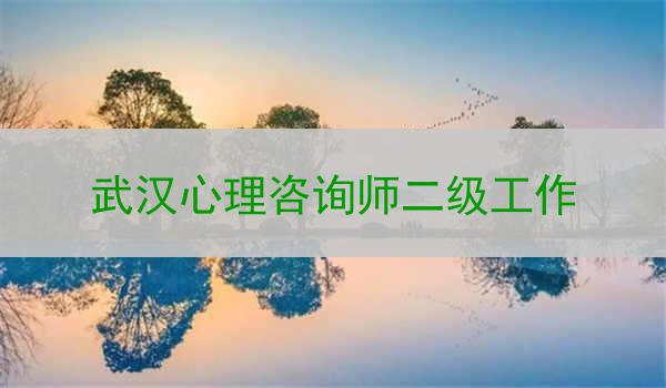 武汉心理咨询师二级工作