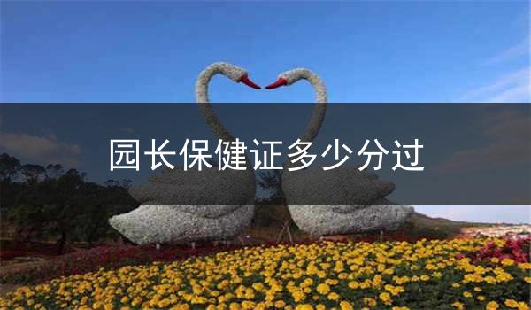 园长保健证多少分过