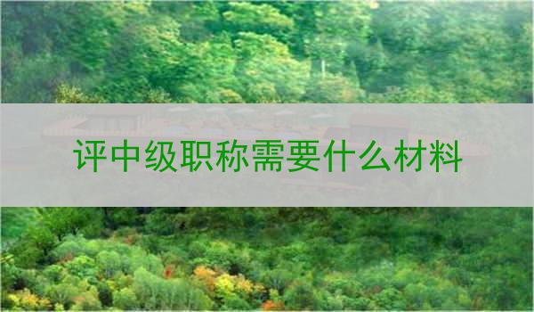 评中级职称需要什么材料
