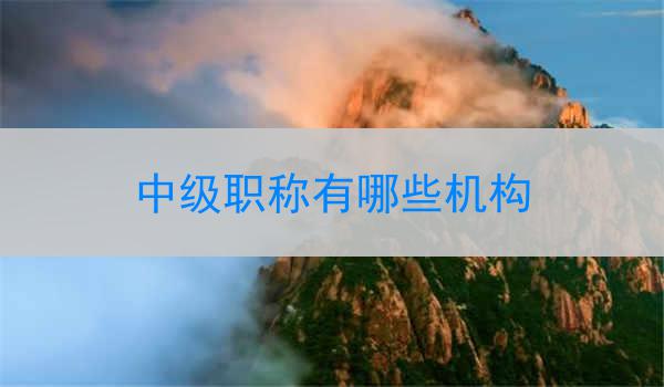 中级职称有哪些机构