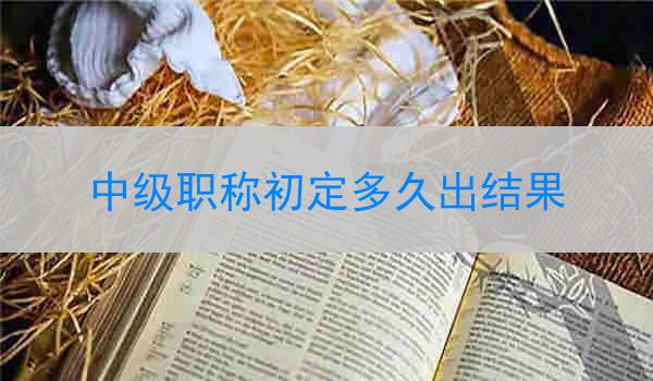 中级职称初定多久出结果