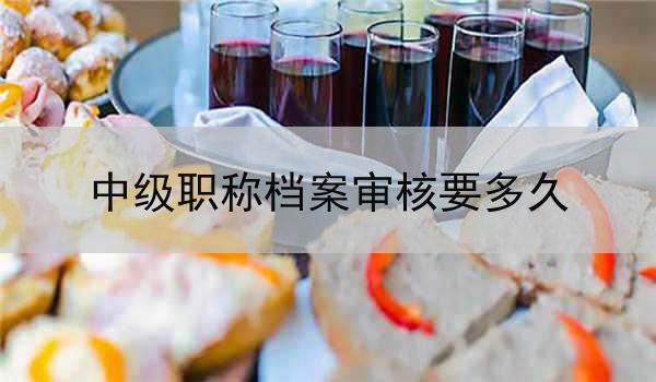中级职称档案审核要多久