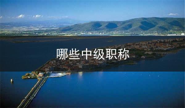 哪些中级职称