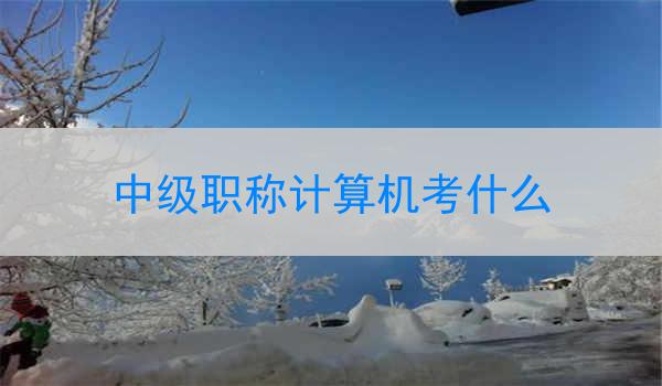 中级职称计算机考什么