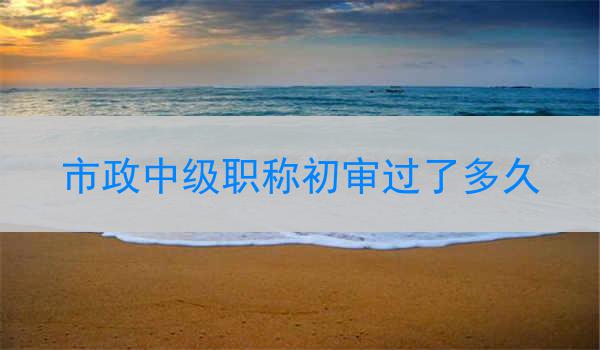 市政中级职称初审过了多久
