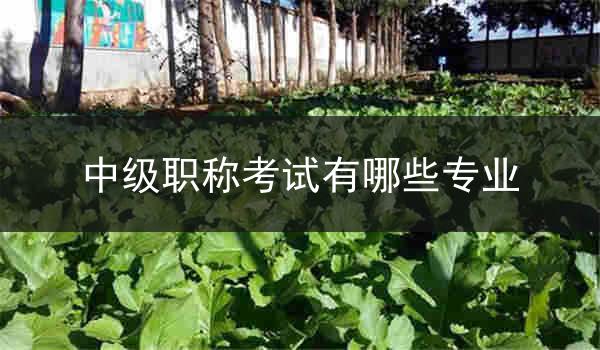 中级职称考试有哪些专业