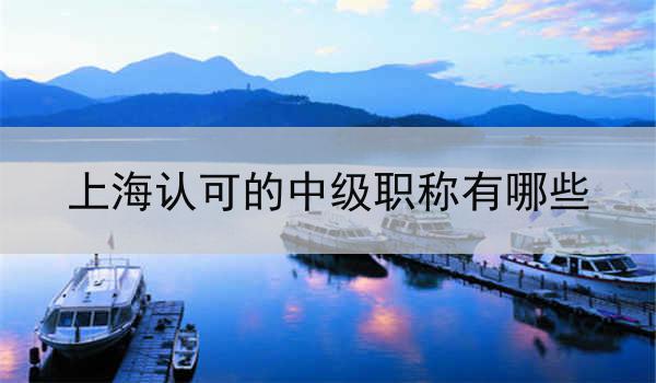 上海认可的中级职称有哪些