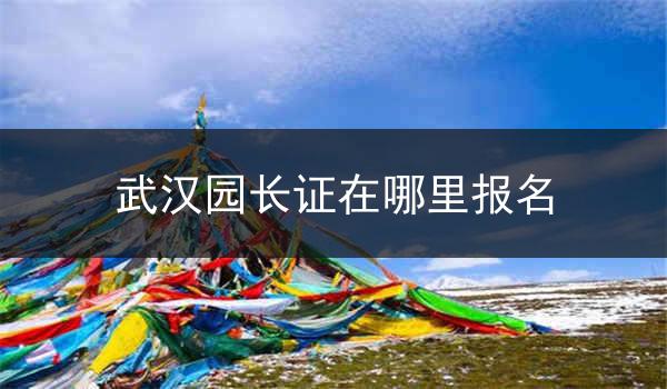 武汉园长证在哪里报名