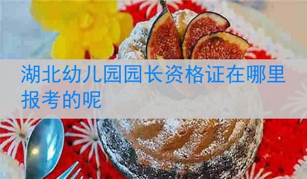 湖北幼儿园园长资格证在哪里报考的呢