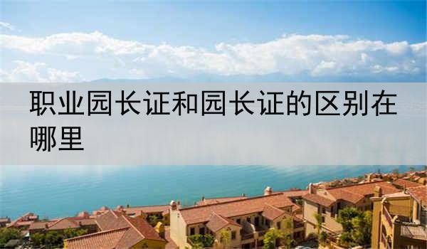 职业园长证和园长证的区别在哪里