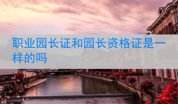 职业园长证和园长资格证是一样的吗