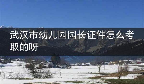 武汉市幼儿园园长证件怎么考取的呀