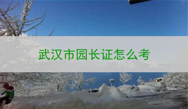 武汉市园长证怎么考