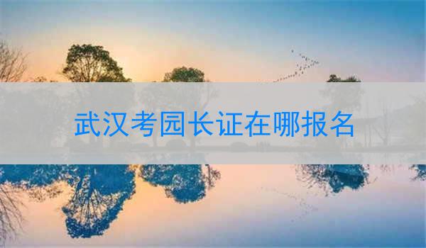 武汉考园长证在哪报名