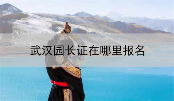 武汉园长证在哪里报名