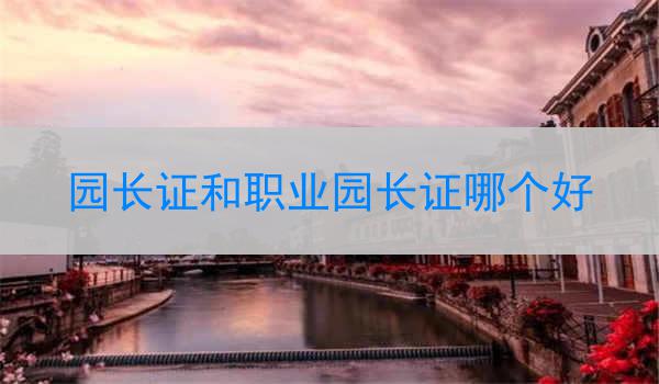 园长证和职业园长证哪个好
