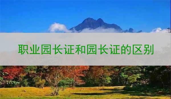职业园长证和园长证的区别