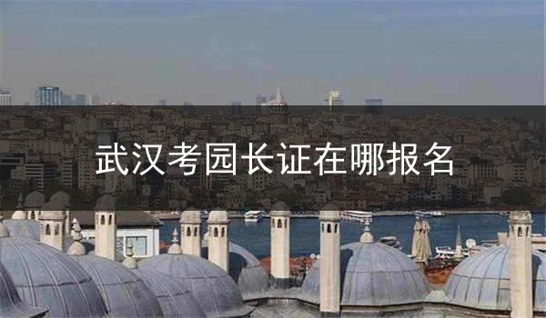 武汉考园长证在哪报名