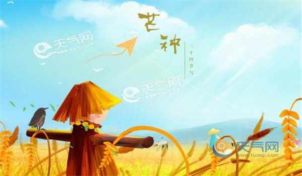 广东省公共营养师报考条件要求