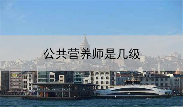 公共营养师是几级