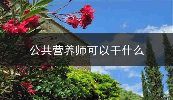公共营养师可以干什么