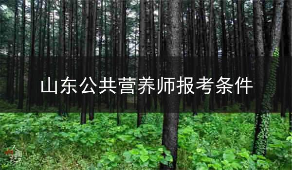 山东公共营养师报考条件