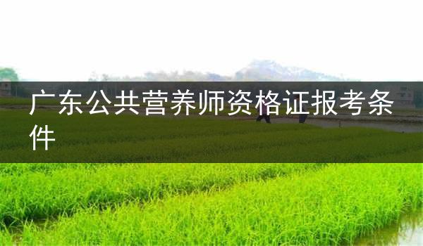 广东公共营养师资格证报考条件