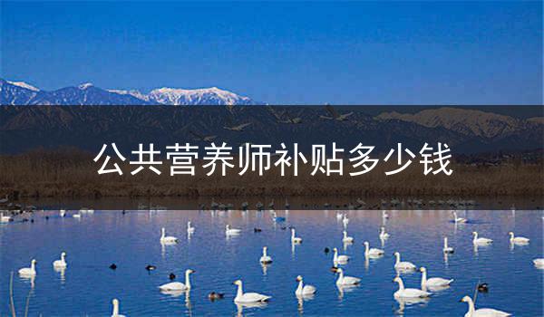 公共营养师补贴多少钱