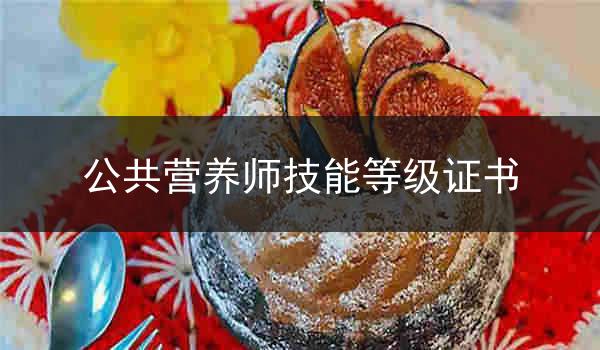 公共营养师技能等级证书