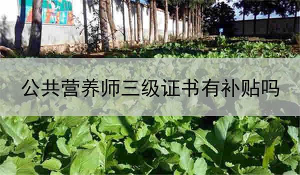 公共营养师三级证书有补贴吗