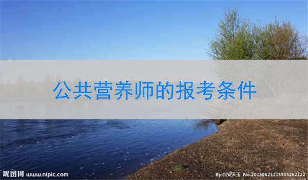 公共营养师的报考条件