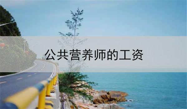 公共营养师的工资