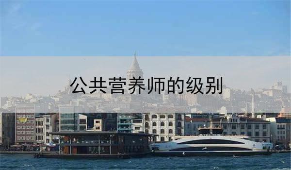 公共营养师的级别