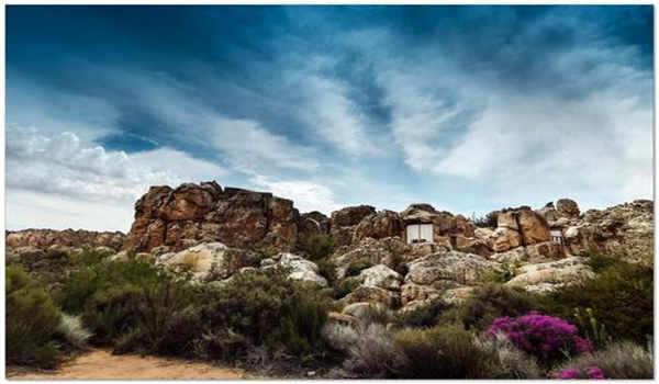 中科院心理咨询师考试中的组织心理学科目有哪些重要内容？