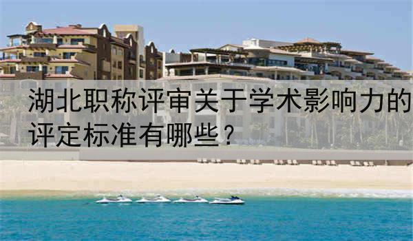 湖北职称评审关于学术影响力的评定标准有哪些？