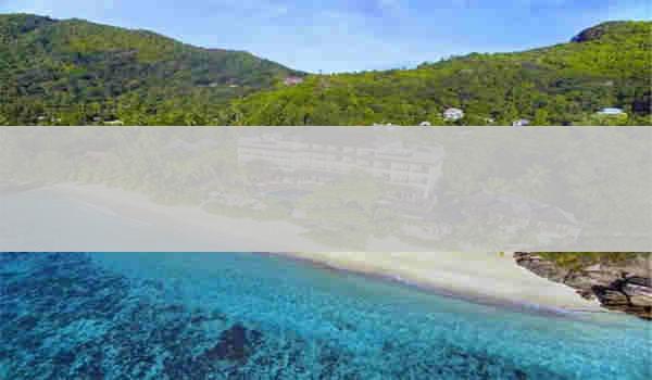 中科院心理咨询师考试中的组织心理学科目包括哪些内容？