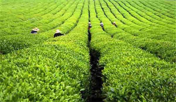 中科院心理咨询师报名是否需要参加面试？_如何准备面试环节？