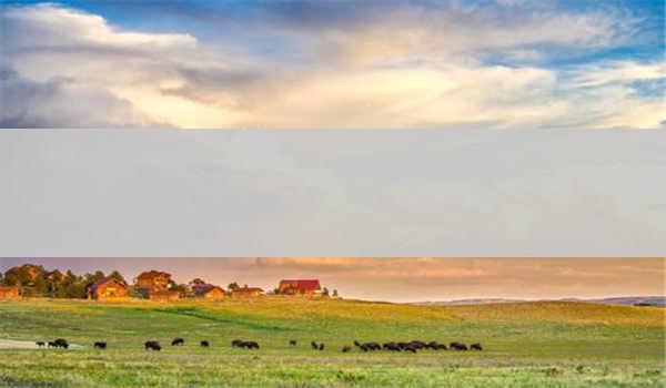 中科院心理咨询师报名是否需要提供身份证明？_如何准备齐全的身份证明材料？