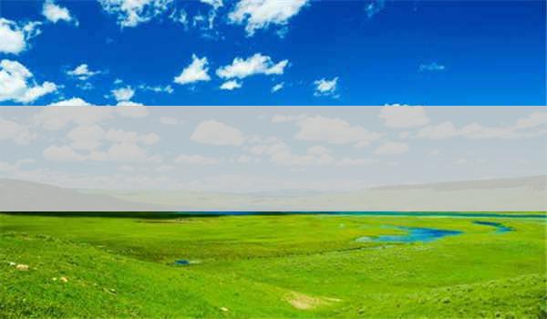 中科院心理咨询师报名是否需要提供推荐信？_如何获取推荐信？