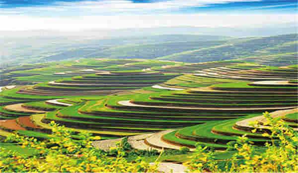 中科院心理咨询师报名是否需要提供个人陈述？_如何撰写精彩的个人陈述？