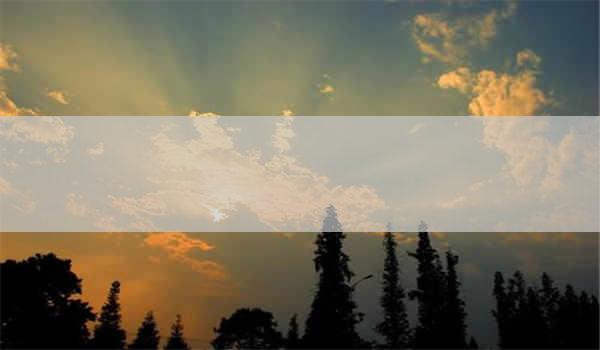 中科院心理咨询师报名是否有性别要求？_如何满足中科院心理咨询师报名性别要求？