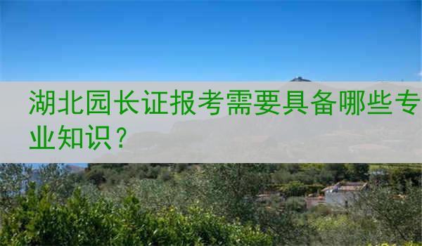 湖北园长证报考需要具备哪些专业知识？