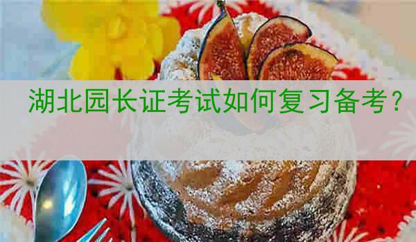 湖北园长证考试如何复习备考？