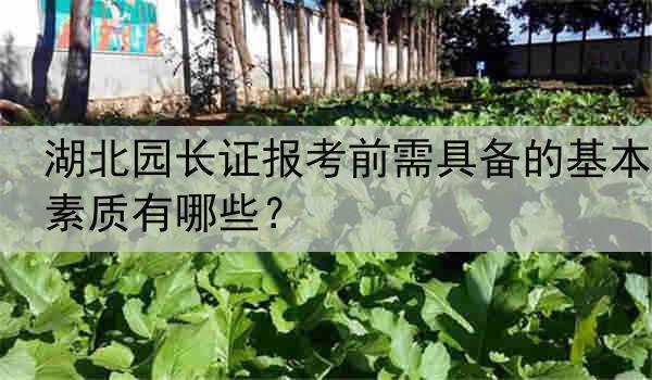 湖北园长证报考前需具备的基本素质有哪些？