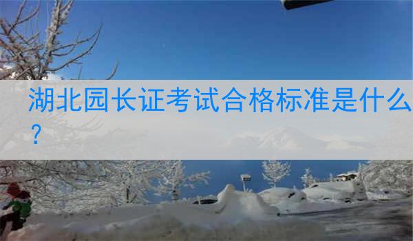 湖北园长证考试合格标准是什么？